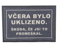 GDmats koberce Rohožka Včera bylo uklizeno (škoda žes to promeškal) 40x60 cm - na ven i na doma - 40x60 cm Šedá, Malé (80x150 cm a menší), Syntetický (umělý)