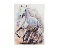 Obsession koberce Dětský kusový koberec Torino kids 235 WHITE HORSE - 80x120 cm Bílá, Střední (80x160 - 164x240), Syntetický (umělý)