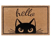Hanse Home Collection koberce Rohožka Mix Mats Cocos - 45x70 cm Hnědá, Malé (80x150 cm a menší)