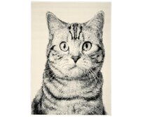 Alfa Carpets Kusový koberec Cat grey - 120x170 cm Šedá, Velké (190x270 cm a větší), Syntetický (umělý)