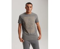 Pánské tričko s potiskem DKR D 0823 S1824 - šedý melír Šedá, XXL