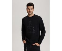 Pánská mikina DKR DSRT ZH13 B1567 šedá Šedá, XXL