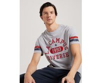 Pánské tričko s potiskem LA CAMPUS 01 S1814 - šedý melír Šedá, XL