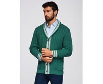 Pánský svetr s šálovým límcem v preppy stylu – zelený V2 OM-SWCD-0152 Zelená, S