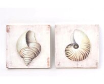 Obraz "SHELLS-wood" 20x20x3/2dr.