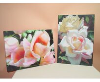 Obraz "roses" 50x70/2dr.