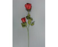 Růže "RED" 60cm/2x květ (latex)
