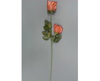 Růže "PINK" 60cm/2x květ (latex)