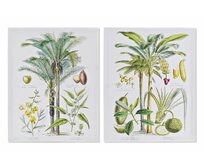 Obraz "PLANTS" 40x1.8x50/2dr.