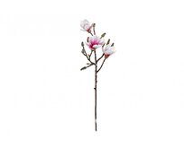 Větvička magnolie do vázy 20x65cm