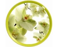 DURAplast Tác plastový průměr 35cm IML orchidej