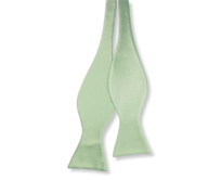 Světle zelený vázací motýlek Zelená, Polyester
