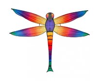 Invento drak Dazzling Dragonfly Kite