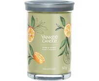 Yankee Candle vonná svíčka Tumbler ve skle velká Sage & Citrus 567g Zelená