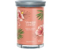 Yankee Candle vonná svíčka Tumbler ve skle velká Tropical Breeze 567g Oranžová