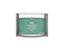 Yankee Candle vonná svíčka Holiday Winterfest 37 g