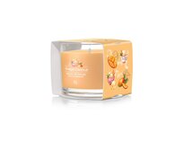 Yankee Candle votivní svíčka ve skle Mango Ice Cream 37g