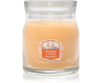 Yankee Candle vonná svíčka Signature Slopeside Spritz 368 g