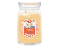 Yankee Candle vonná svíčka Signature Slopeside Spritz 567 g