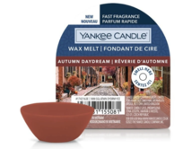 Yankee Candle vonný vosk Autumn Daydream 22g
