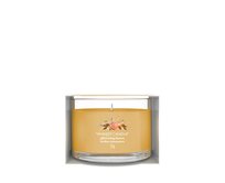 Yankee Candle vonná svíčka Glistening Leaves 37 g