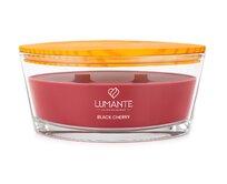 LUMANTE Loď s dřevěným knotem Black Cherry 423 g Červená