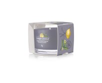 Yankee Candle votivní svíčka ve skle Black Tea & Lemon 37g