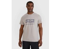 4F pánské tričko 4FWSS25TTSHM2209 světle šedé světle šedá, 2XL