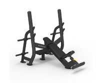 Olympijská šikmá lavice PR-210 Evolve Prime