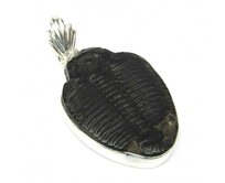 AutorskeSperky.com - Stříbrný přívěsek s trilobitem - S5543 Stříbro
