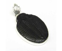 AutorskeSperky.com - Stříbrný přívěsek s trilobitem - S5544 Stříbro