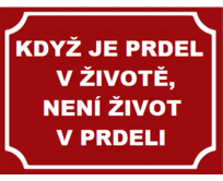 Plechová cedulka 20 x 15 cm – Prdel v životě