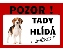 Plechová cedulka 20 x 15 cm – Tady hlídá... Psi Rasa psa: Bígl