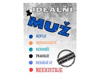 Plechová retro cedule / plakát - Ideální muž Provedení:: Plechová cedule A4 cca 30 x 20 cm