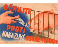 Plechová retro cedule - Očkujte Provedení: Hliník: 20 x 15 cm
