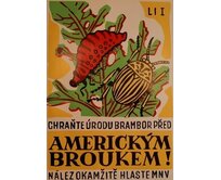 Plechová retro cedule - Americký brouk Provedení: Dibond: 20 x 15 cm