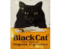 Plechová retro cedule - Black Cat Provedení: Dibond: 40 x 28,5 cm