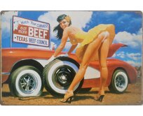 Plechová retro cedule - Car Girl I Provedení: Dibond: 40 x 28,5 cm