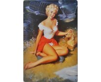 Plechová retro cedule - Car Girl III Provedení: Dibond: 40 x 28,5 cm
