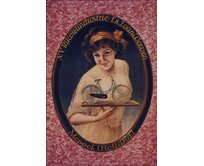 Plechová retro cedule - Meppel Provedení: Dibond: 20 x 15 cm