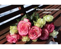 Plechová cedule s vašim vlastním potiskem Provedení: Dibond: 40 x 28,5 cm