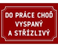 Plechová cedulka – Do práce choď Provedení: Hliník: 20 x 15 cm