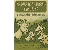 Plechová retro cedule - Netvařte se pořád tak vážně Provedení: Dibond: 40 x 28,5 cm