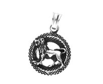 Ewena Přívěsek znamení různé druhy Volba znamení: Lev 23. 7. až 22. 8.