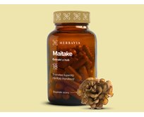 Maitake extrakt z hub - 60 kapslí / Herbavia.cz