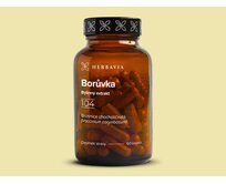 Borůvka - bylinný extrakt - 60 kapslí / Herbavia.cz doplněk stravy