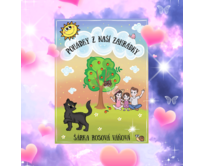 Kniha o knize + bonusy [Ebook]