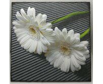 Obrázek z dřevěné překližky Květiny, 16 cm