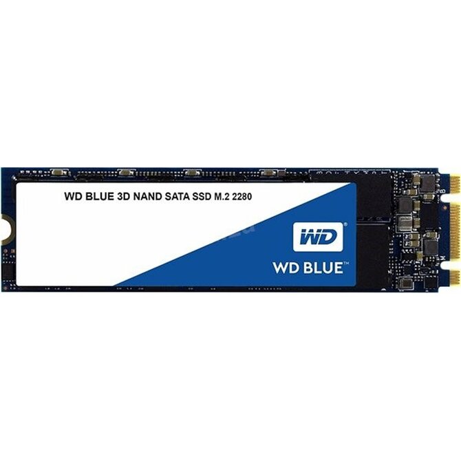 WD BLUE SSD 3D NAND WDS100T3B0B 1TB SA510 M.2, (R:560, W:520MB/s)