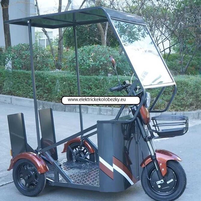 Elektrická tříkolka určená pro převoz osob na invalidním vozíku.